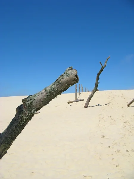 Пустыня Леба в Польше - отдых на песке — стоковое фото