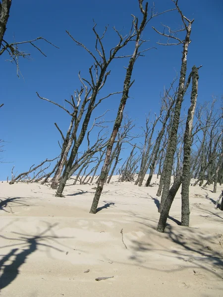 沙漠在波兰-在沙滩度假莱 — 图库照片