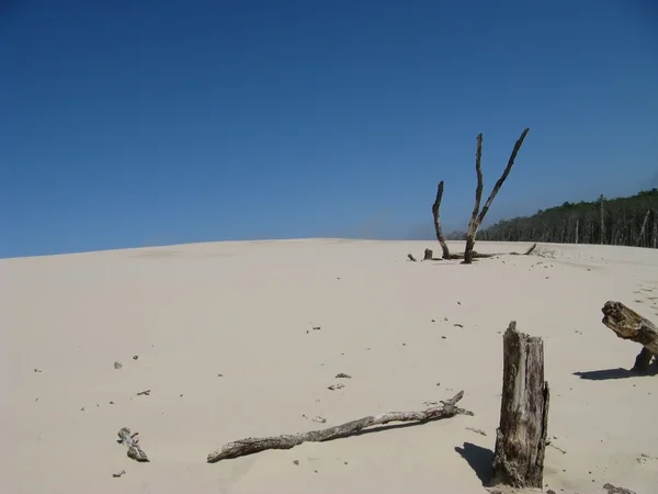V poušti Leba v Polsku - dovolená v písku — Stock fotografie