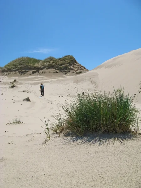 V poušti Leba v Polsku - dovolená v písku — Stock fotografie