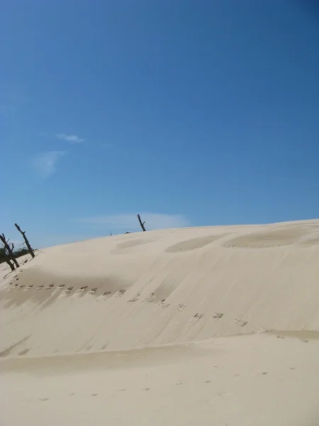 폴란드-모래에 휴가 Leba 사막 — 스톡 사진