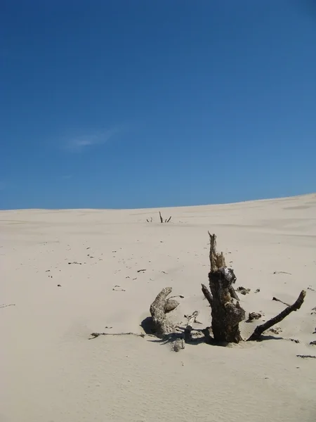 Пустеля Леба, Польща - відпочинок у піщаному — стокове фото