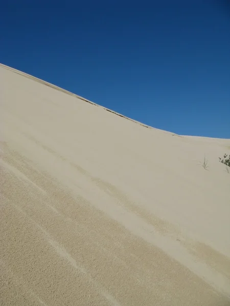 O deserto Leba na Polônia - férias na areia — Fotografia de Stock
