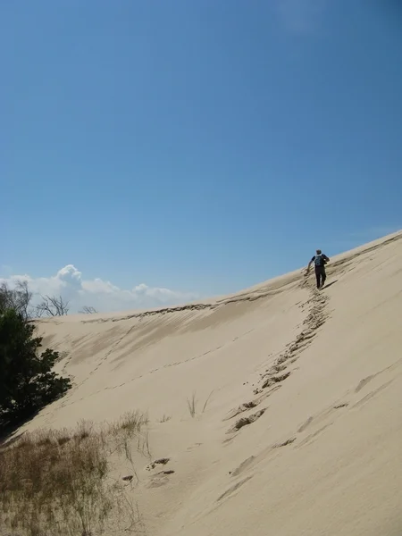 Le désert Leba en Pologne - vacances dans le sable — Photo