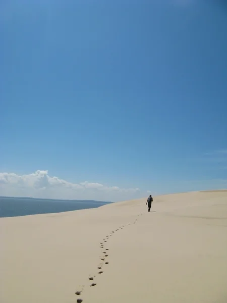 폴란드-모래에 휴가 Leba 사막 — 스톡 사진