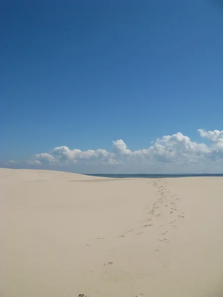 Έρημο Leba στην Πολωνία - διακοπές στην άμμο — Φωτογραφία Αρχείου