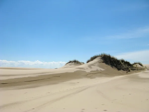 Zandwoestijn met sky — Stockfoto