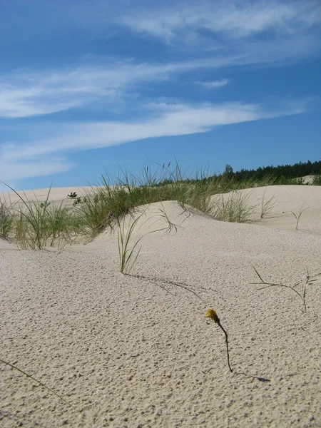 Die wüste leba in polen - urlaub im sand — Stockfoto