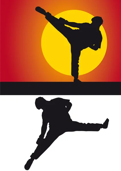Silhueta Kickboxer contra um fundo colorido — Fotografia de Stock