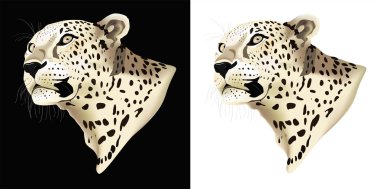 leopar