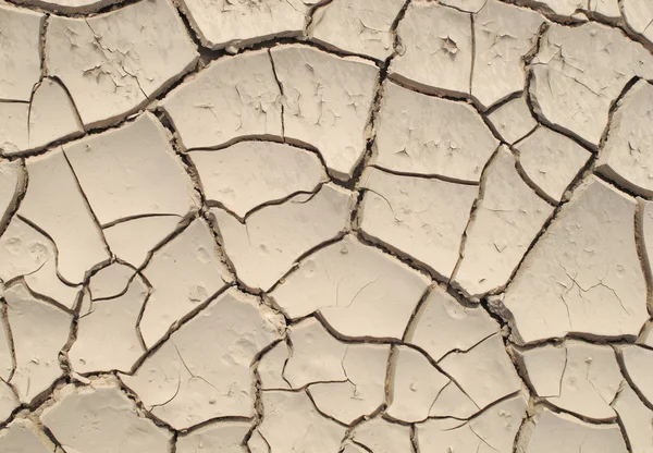 stock image Parched earth