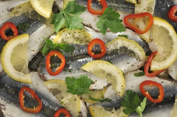 Peixe-sardinha marinado — Fotografia de Stock