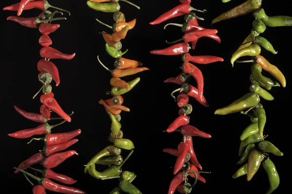 stock image Red and green peppers