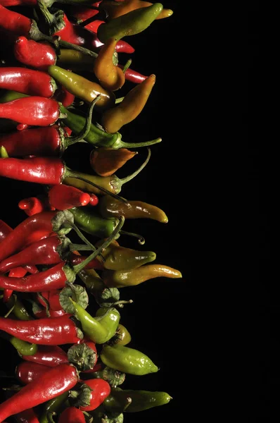 stock image Red and green peppers