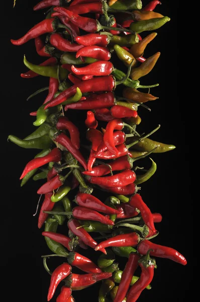 stock image Fresh peppers