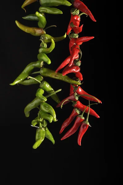 Stock image Fresh peppers