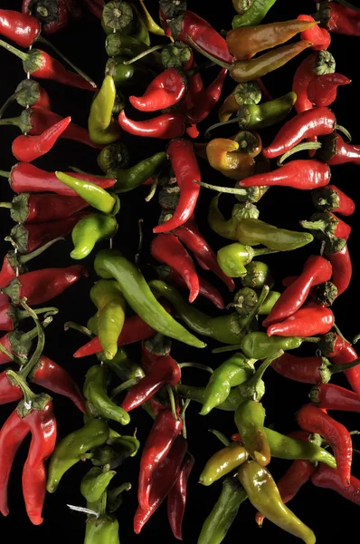 stock image Fresh peppers