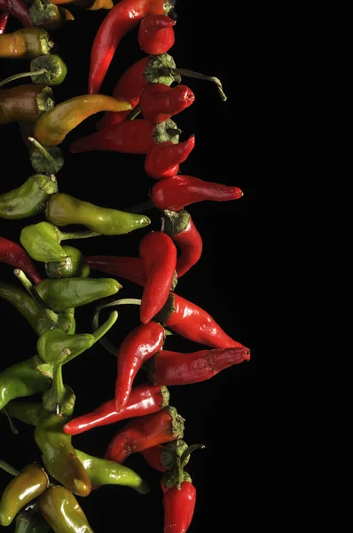 Stock image Fresh peppers