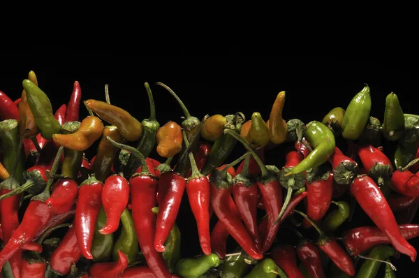 stock image Fresh peppers