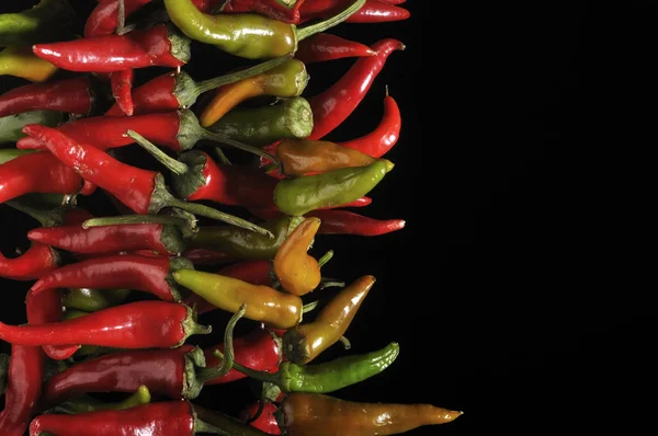 stock image Fresh peppers