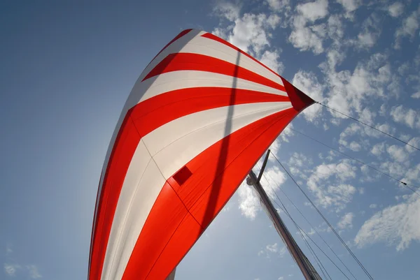 赤と白の帆 — ストック写真