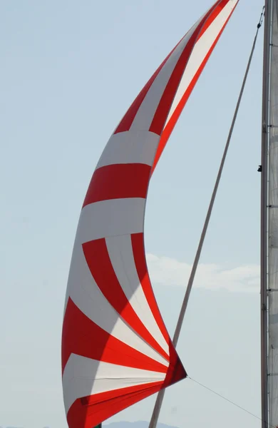 Червоно-білий вітрильник — стокове фото