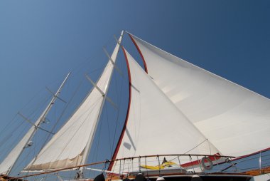 White sails clipart