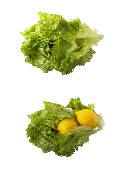Collage with lettuce — Stock Photo, Image