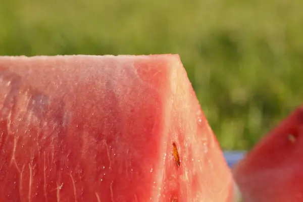 Groot stuk van watermeloen op een groene achtergrond — Stockfoto