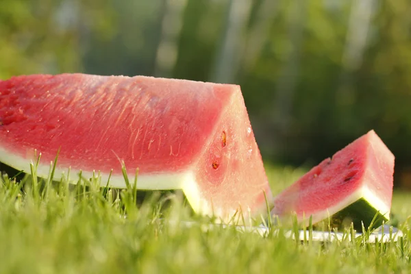 Groot stuk van watermeloen op een groen gras — Stockfoto