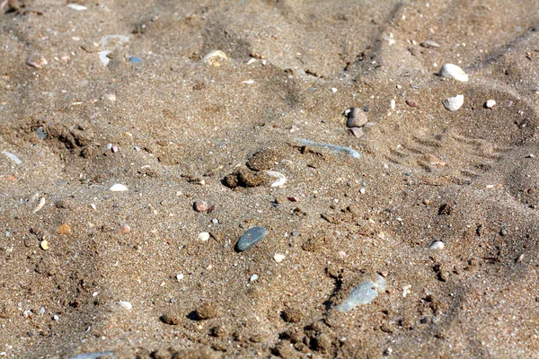 stock image Sand of a beach