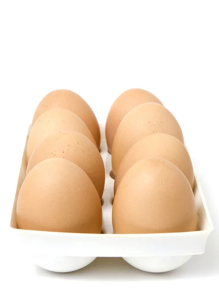 Eggs in a holder — Stock Photo, Image
