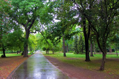 Trail in Margaret island, Budapest / Hungary clipart