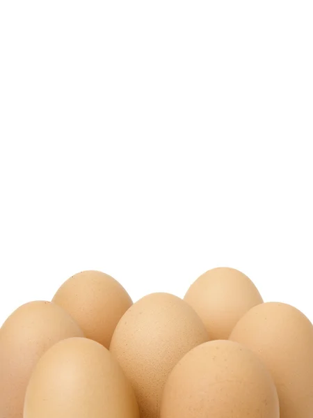 Eggs closeup — Stock Photo, Image
