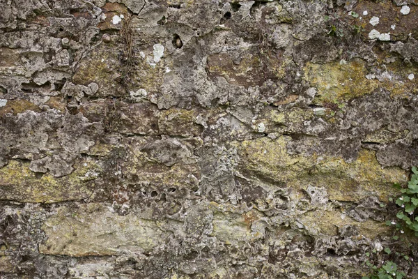 Vieux mur de pierre I — Photo