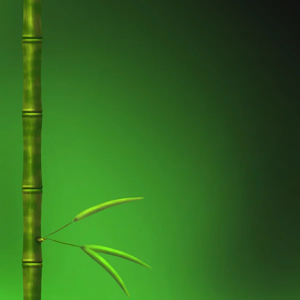 stock image Branch of a bamboo with leaves