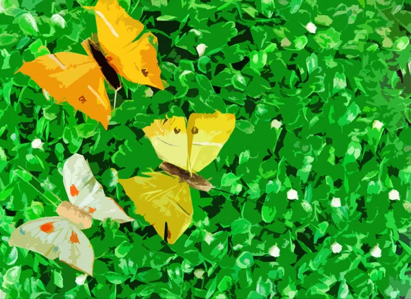 Butterflies on green leaves — Stock Photo, Image