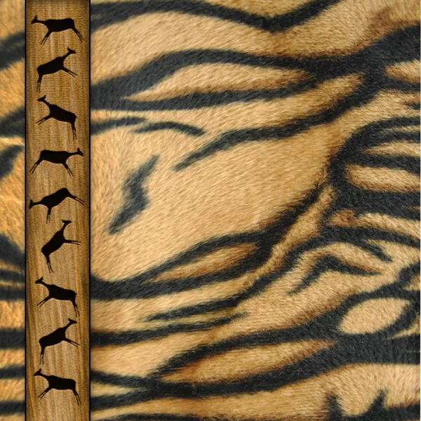 Pozadí z kůže tygr — Stock fotografie