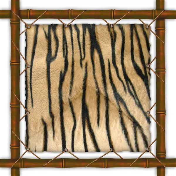 El marco con la piel del tigre — Foto de Stock