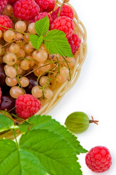 Basket with a raspberry, a cherry and a gooseberry, — Stock Photo, Image