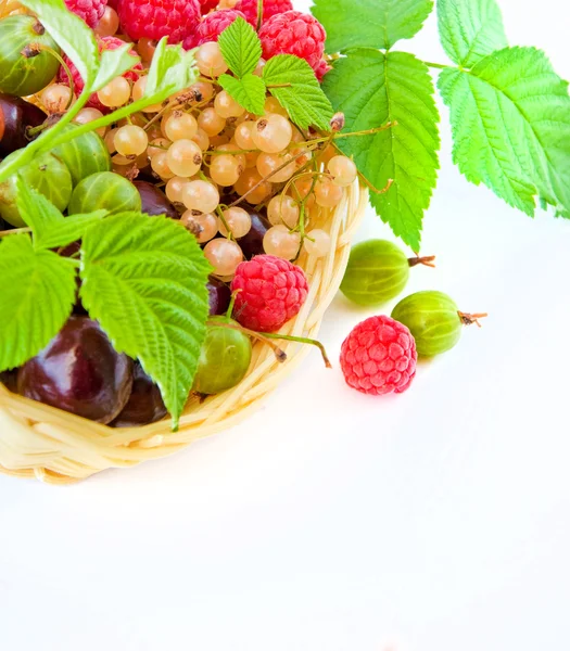 Basket with a raspberry — Stock Photo, Image