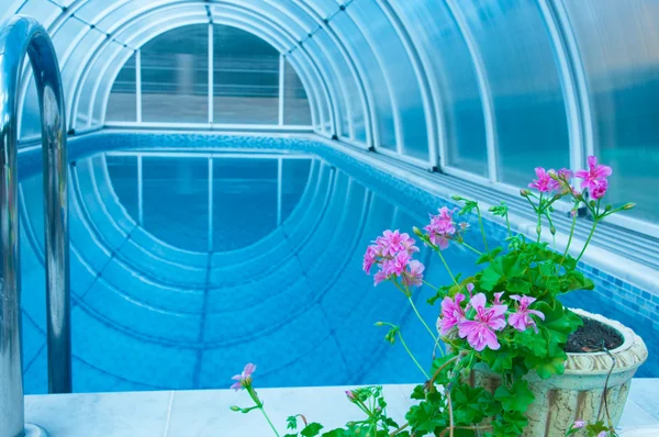 :Covered summer pool — Stock Photo, Image