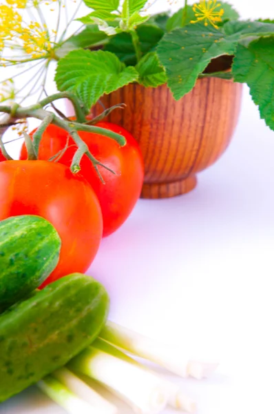 Stillleben aus einer Tomate — Stockfoto