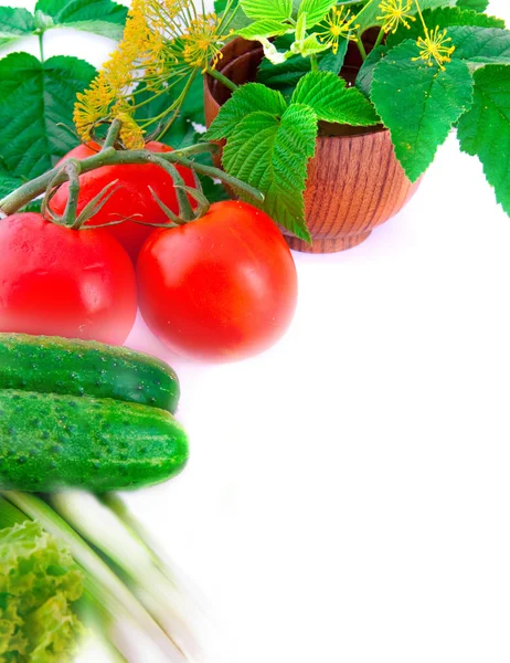 Natürmort gelen domates — Stok fotoğraf