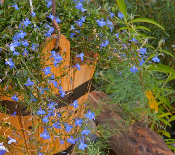 Bukett med vilda blommor — Stockfoto