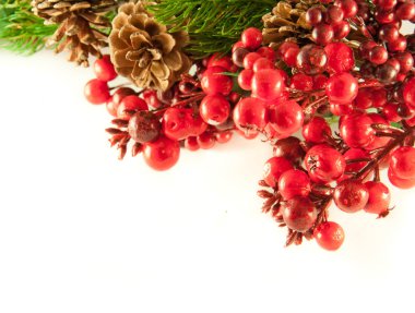 Kırmızı böğürtlenlerden, kürk ağacından ve konilerden Noel çelengi