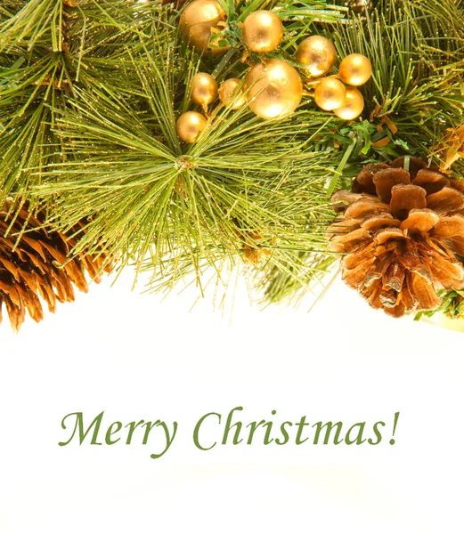 Karácsonyi kártya. Ága a prémes-fa- és erdei fenyő kúpok, fehér alapon — Stock Fotó
