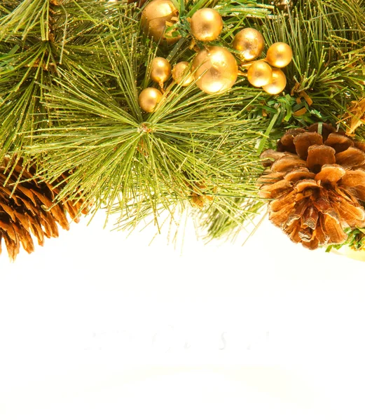 Vánoční přání. pobočka kožešin strom a jedlové šišky na bílém pozadí — Stock fotografie