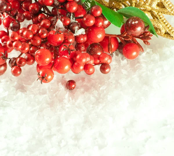 Christmas branch of berries with a gold fur-tree against snow — Stock Photo, Image