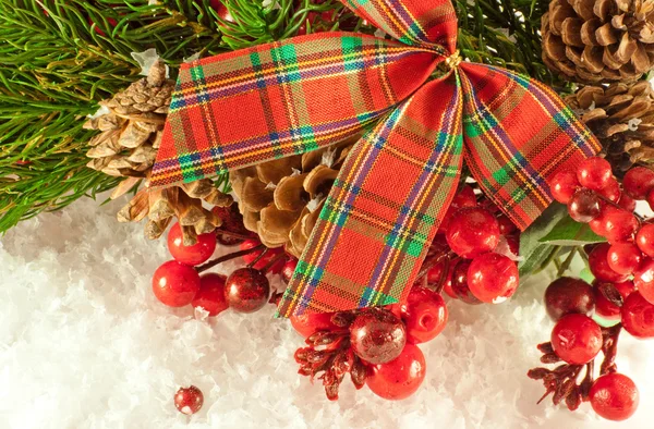 圣诞红磁带和浆果和毛皮树的分支 — 图库照片